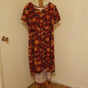 LulaRoe dress